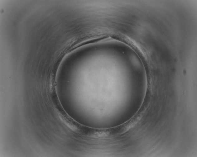 X0000062610065200512211147