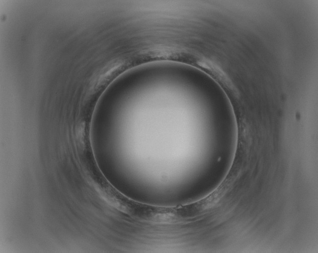 X0000062610066200512211147