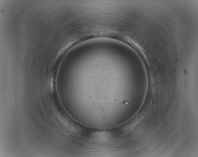 X0000062610067200512211148