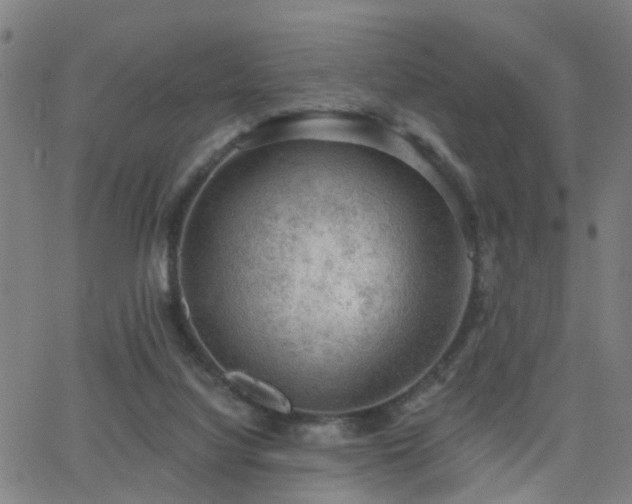 X0000062610068200512211148