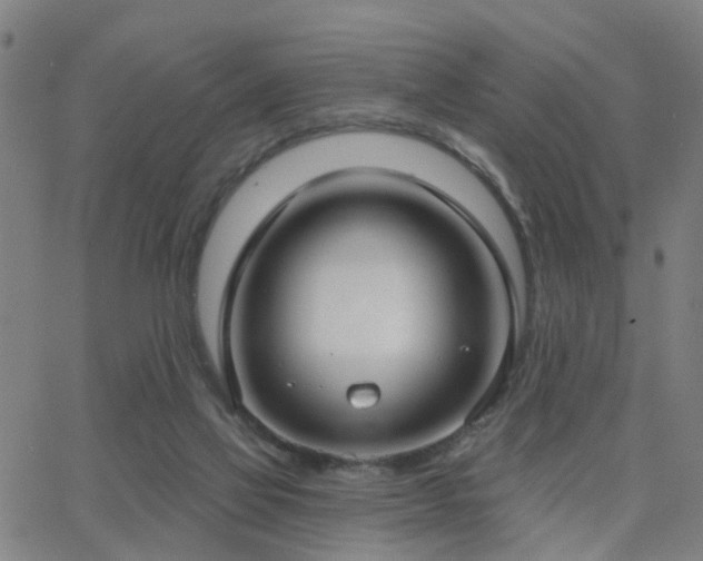 X0000062610069200512211148