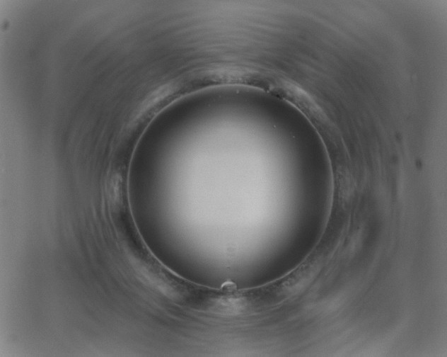 X0000062610071200512211148