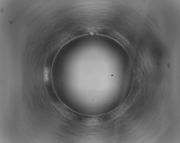 X0000062610075200512211148