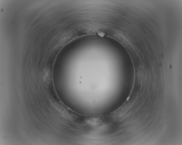 X0000062610079200512211148