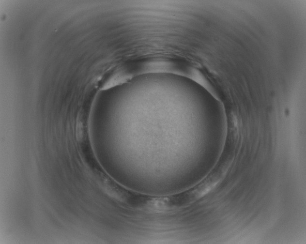 X0000062610080200512211148