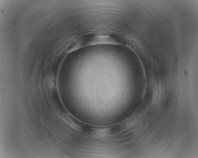 X0000062610081200512211148