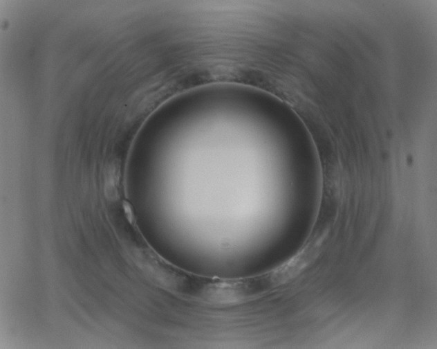 X0000062610082200512211148