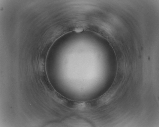 X0000062610083200512211148