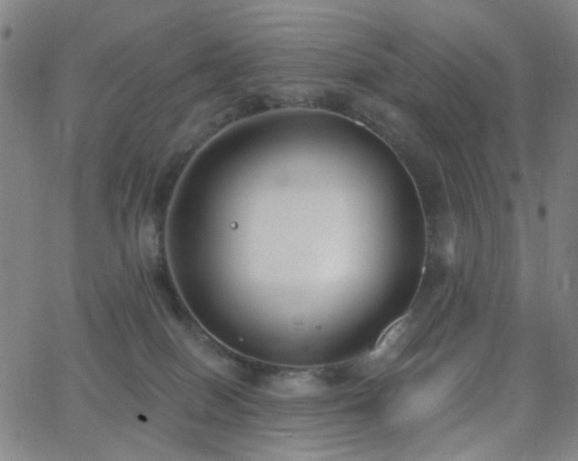 X0000062610086200512211148