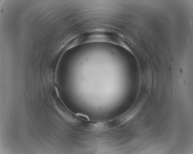 X0000062610092200512211148