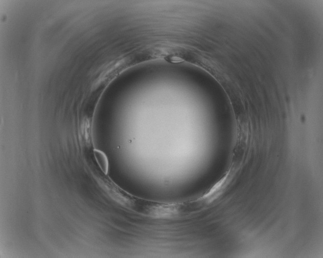 X0000062610094200512211148