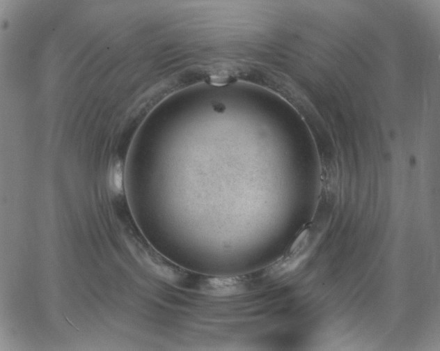 X0000062610095200512211148