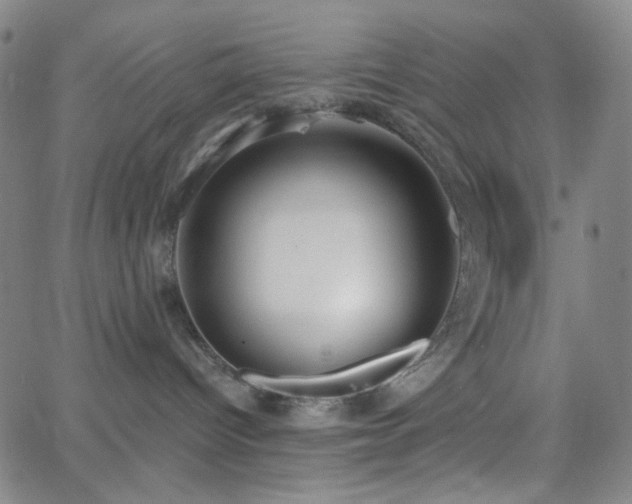 X0000062610096200512211148