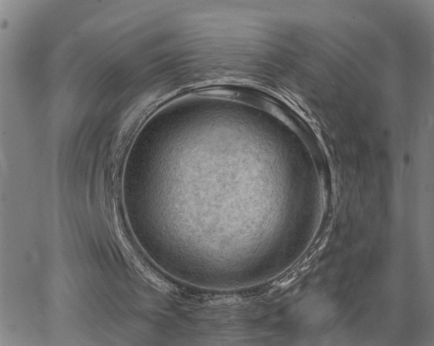 X0000062610097200512211147