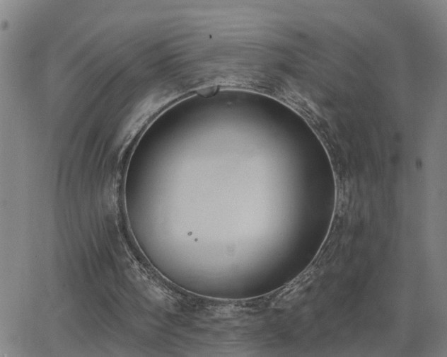 X0000062610098200512211147