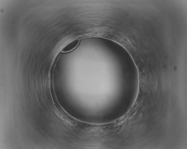 X0000062610100200512211147