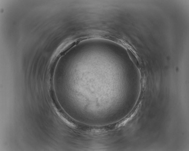 X0000062610101200512211147