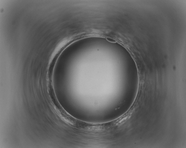 X0000062610102200512211147