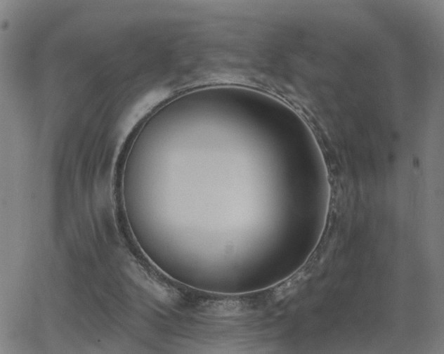 X0000062610104200512211147