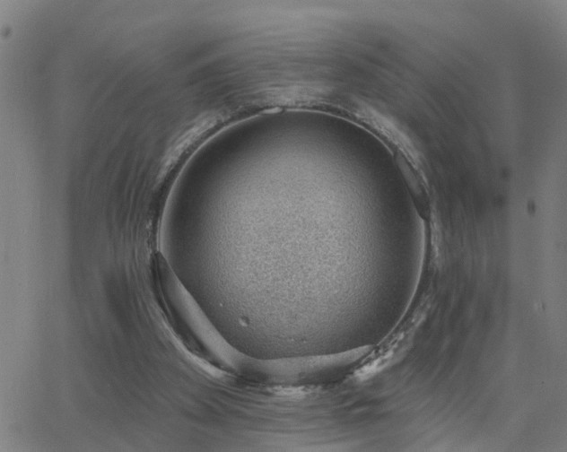 X0000062610105200512211147