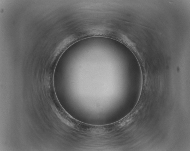 X0000062610106200512211147