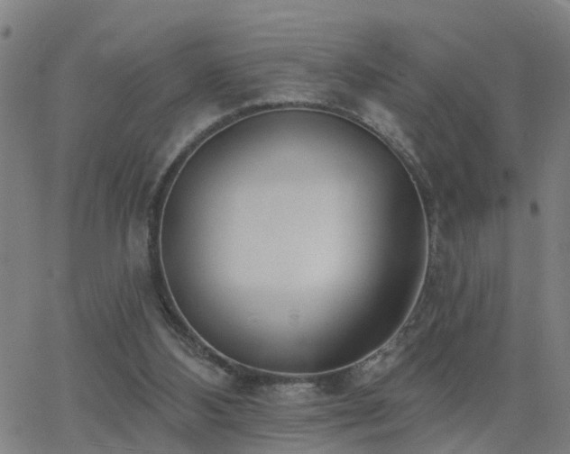 X0000062610108200512211147