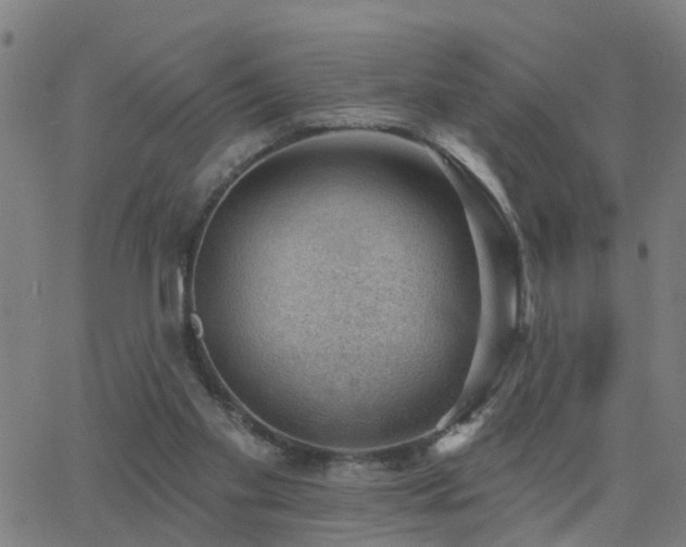 X0000062610109200512211147