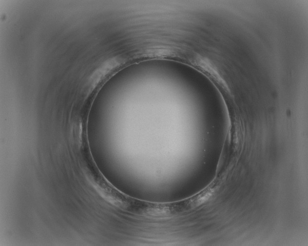 X0000062610110200512211147