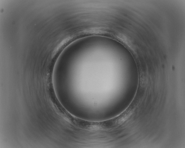 X0000062610111200512211147