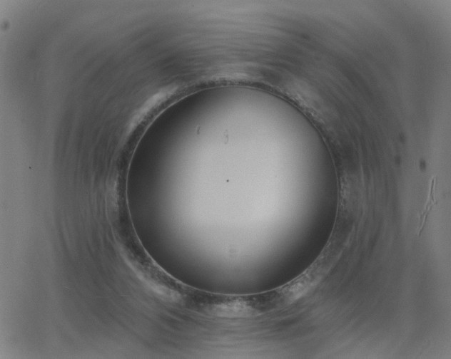 X0000062610112200512211147