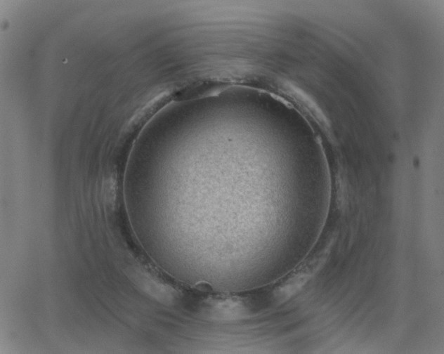 X0000062610113200512211147