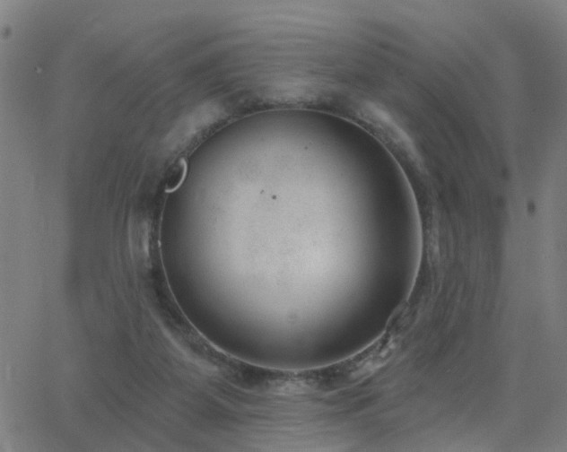 X0000062610115200512211147