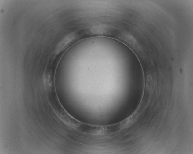 X0000062610116200512211147