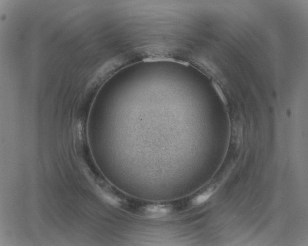 X0000062610117200512211147