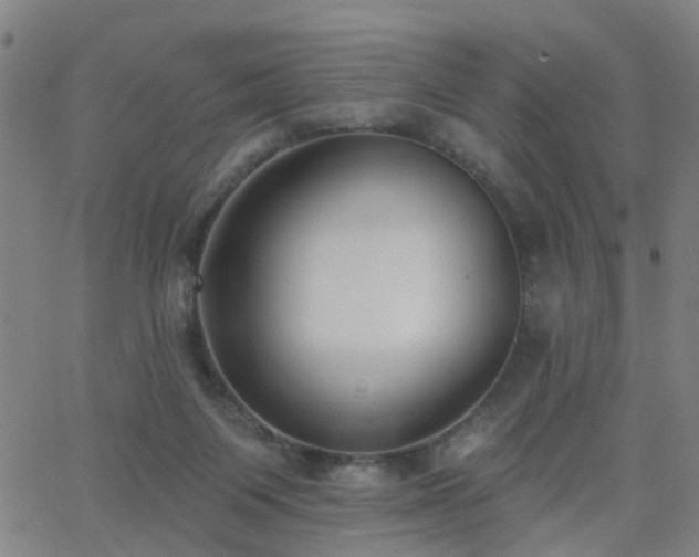 X0000062610119200512211147