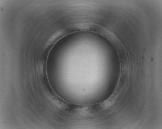 X0000062610120200512211147