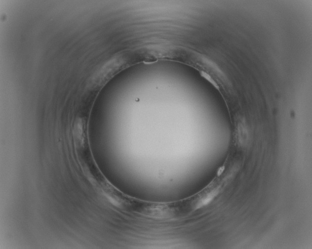 X0000062610121200512211147