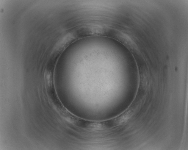 X0000062610123200512211147