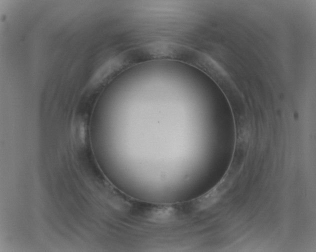 X0000062610124200512211147