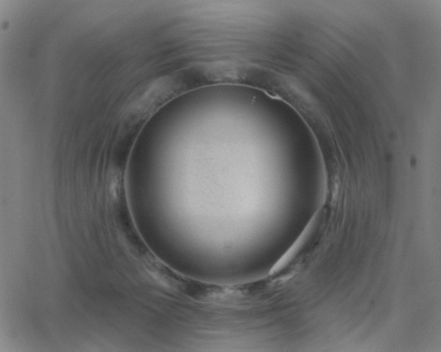 X0000062610125200512211147