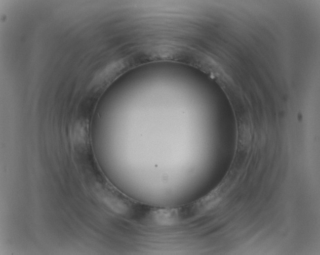 X0000062610126200512211147