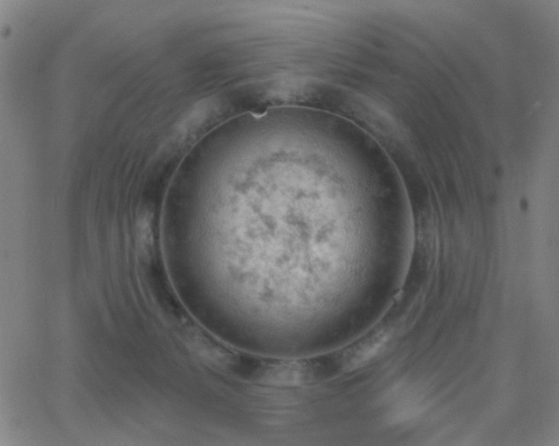 X0000062610127200512211147