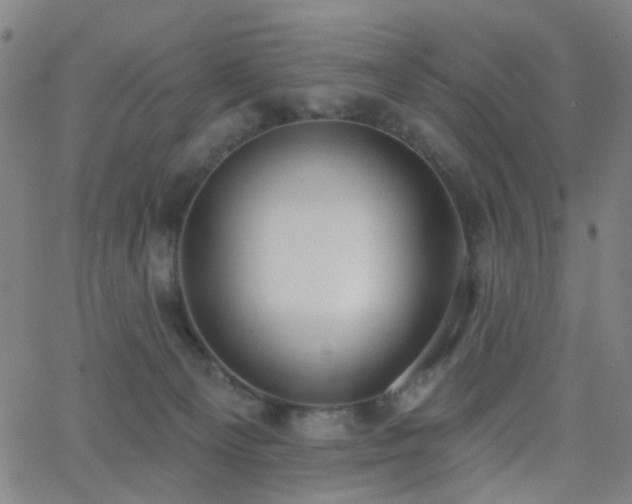 X0000062610129200512211147