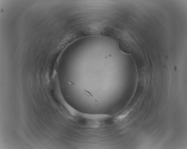 X0000062610131200512211147