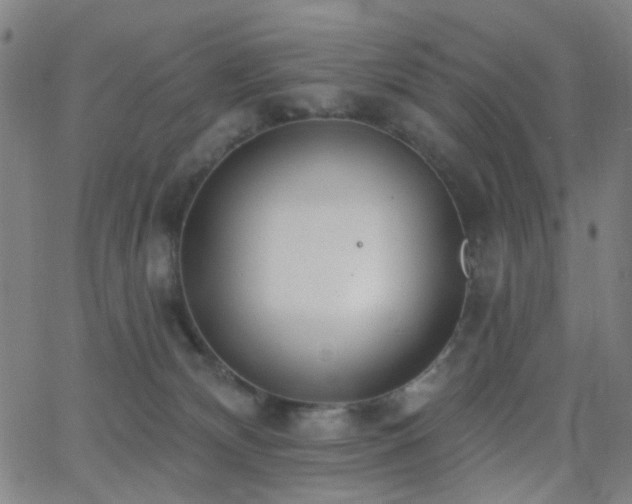 X0000062610132200512211147