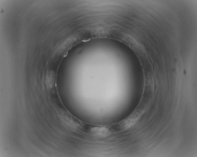 X0000062610133200512211147