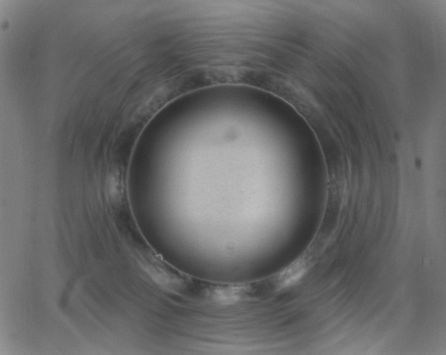 X0000062610134200512211147