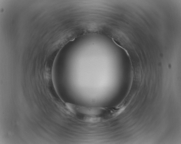 X0000062610135200512211147