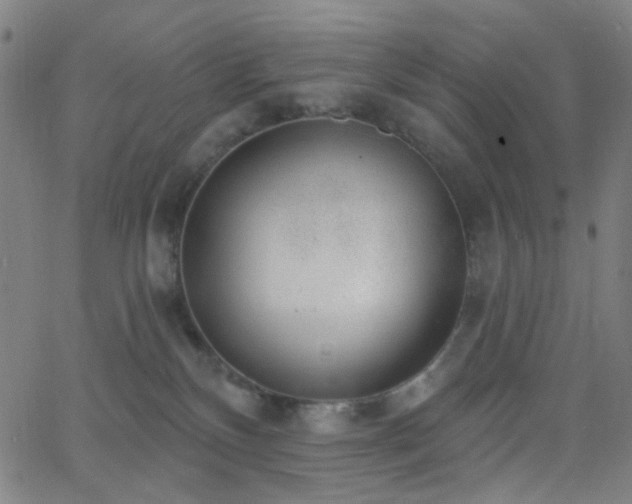 X0000062610136200512211147