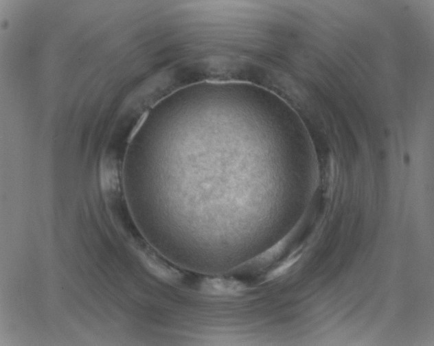 X0000062610137200512211147